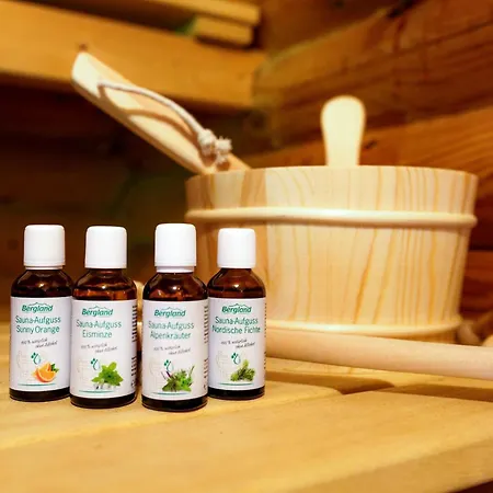 Levi By Alpine Host Helpers 木屋 蒂罗尔-基希贝格