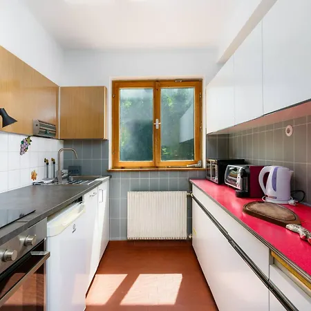 Levi By Alpine Host Helpers 蒂罗尔-基希贝格